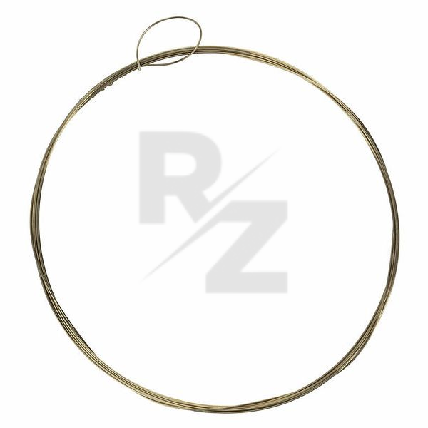 Image Thomann Nataraj Toombi Single String