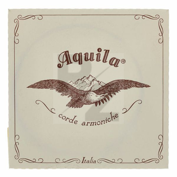 Image Aquila 155D Wound Nylgut Lute String