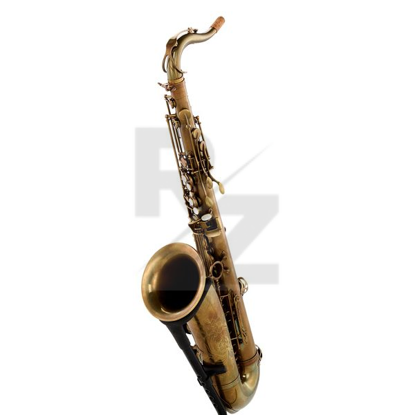 Image Schagerl Tenor Sax 66FV-EC