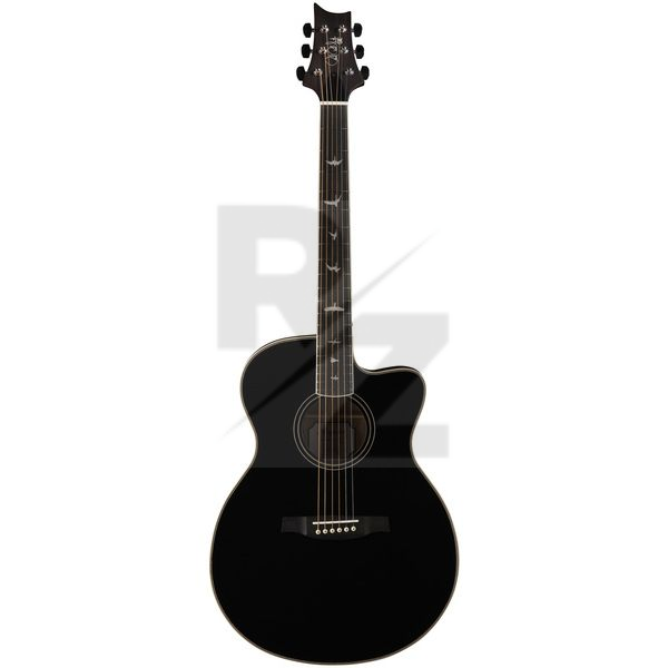Image PRS SE A20E BX