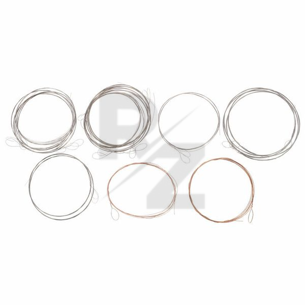 Image Thomann Nataraj Sarod Strings Set