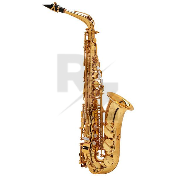 Image Selmer SE-A2G Gold Plated SA80 II Alt