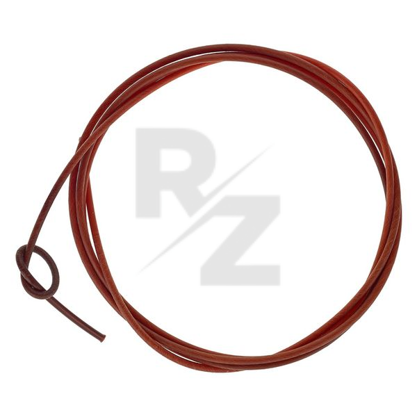 Image Gut-a-Like Vintage Single String D