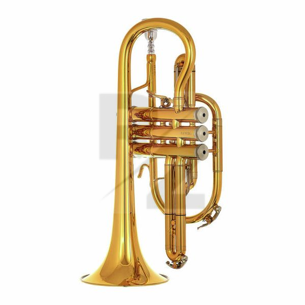 B&S 3142/2-GL Brochon Bb-Cornet Image B&S 3142/2-GL Brochon Bb-Cornet