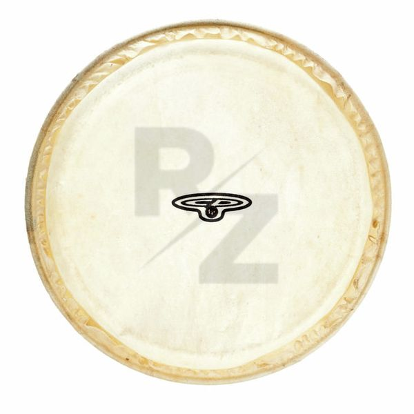 Image LP CP221A Bongo Head 6