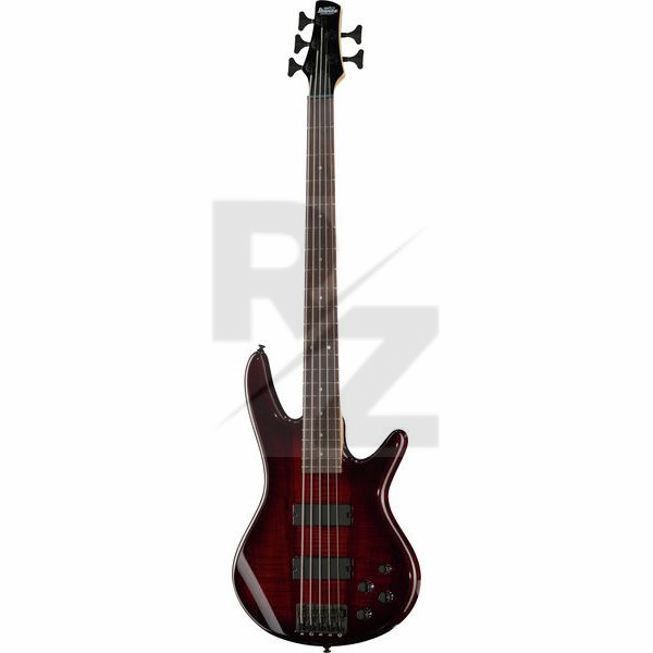 Image Ibanez GSR205SM-CNB