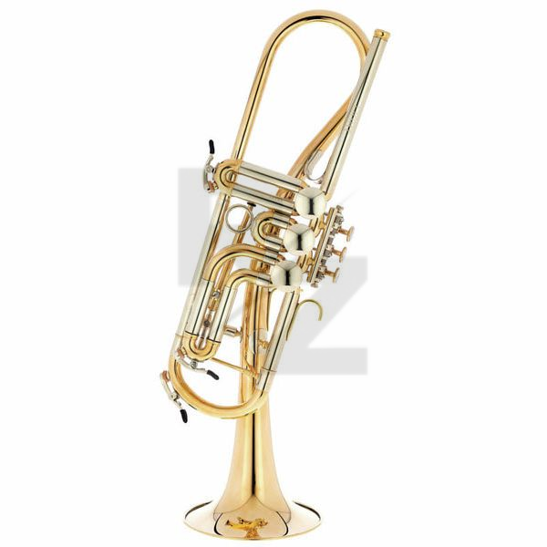 Image Schagerl Ganschhorn 2021 UL