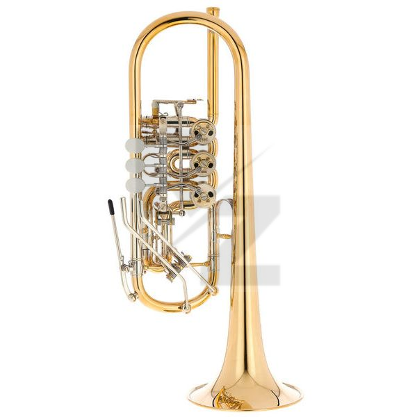 Image Peter Oberrauch Milano Trumpet C 0,4 raw