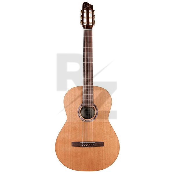Image Godin Concert