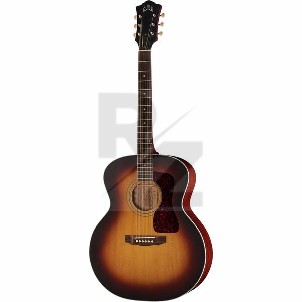 Image Guild F-40E ATB LR Baggs USA