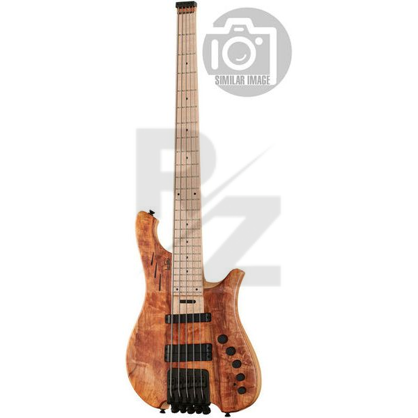 Image Le Fay Herr Schwarz 5 Headless Ch