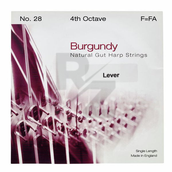 Image Bow Brand Burgundy 4th F Gut Str. No.28