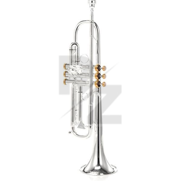 Image Kühnl & Hoyer Spirit MAW Bb-Trumpet silver