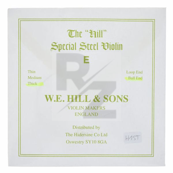 Image W.E. Hill & Sons E-String 4/4 Strong BE