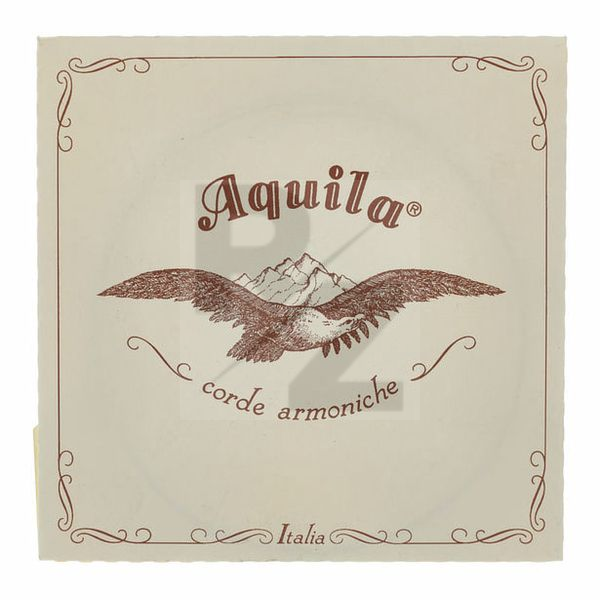 Image Aquila 100D Wound Nylgut Lute String
