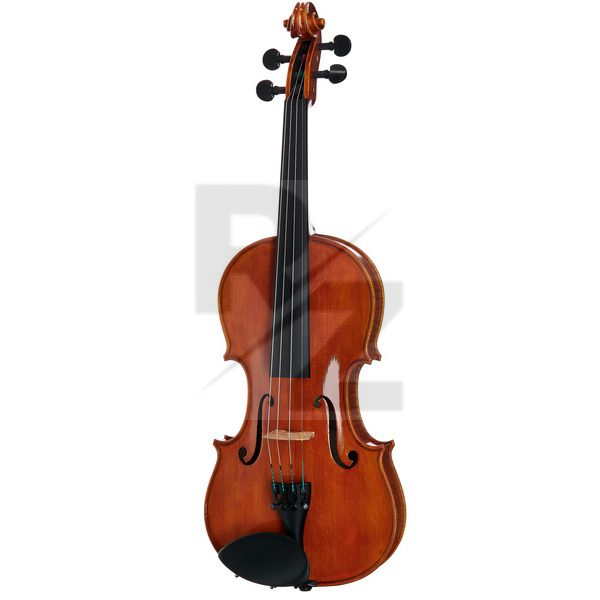 Image Rainer W. Leonhardt No. 100/1 Master Violin 4/4