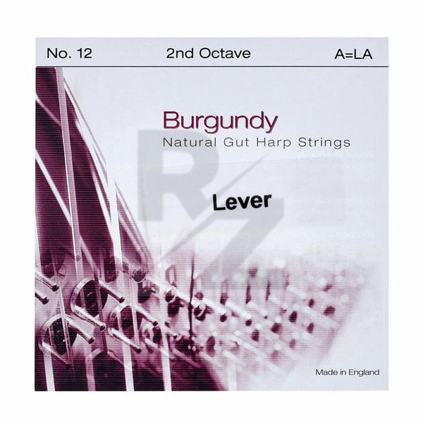 Image Bow Brand Burgundy 2nd A Gut Str. No.12