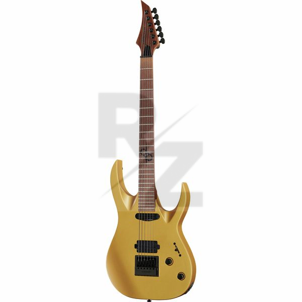 Image Solar Guitars AB 1.6G Antique Gold Matte