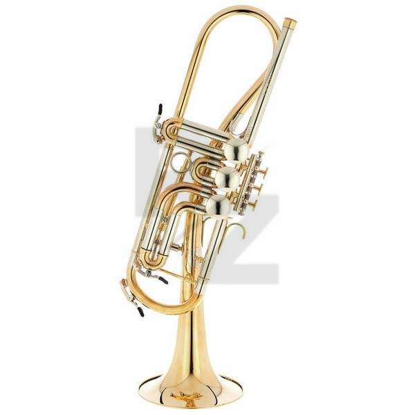 Image Schagerl Ganschhorn heavy UL