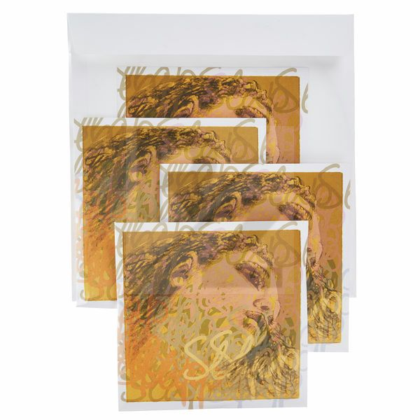 Image Pirastro Evah Pirazzi Slap Strings Set