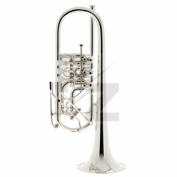 Image Schagerl Berlin Heavy 