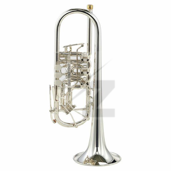 Image Gerd Dowids BZ-Series C-Trumpet Special