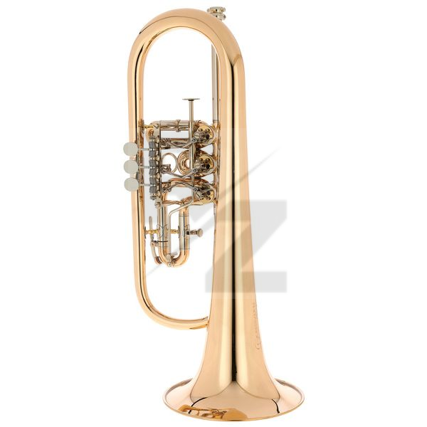 Image Peter Oberrauch Rosengarten Flgh 10,95 L