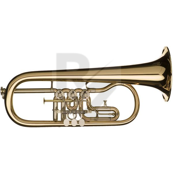 Image Gerd Dowids BZ-Series GL91 RAW