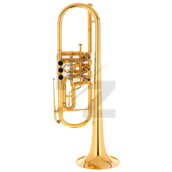 Krinner Symphonic I Trumpet Gold Image Krinner Symphonic I Trumpet Gold