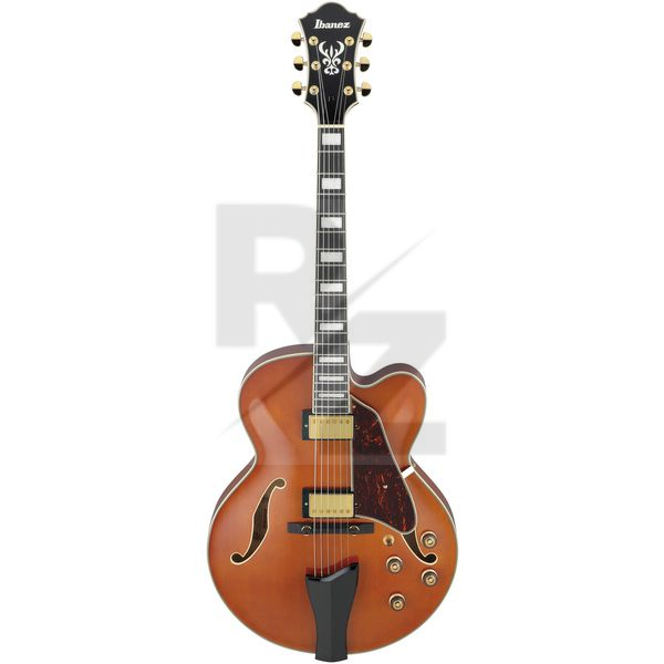 Image Ibanez AF95-DA