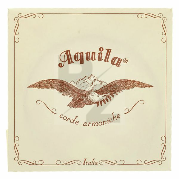 Image Aquila 145D Wound Nylgut Lute String