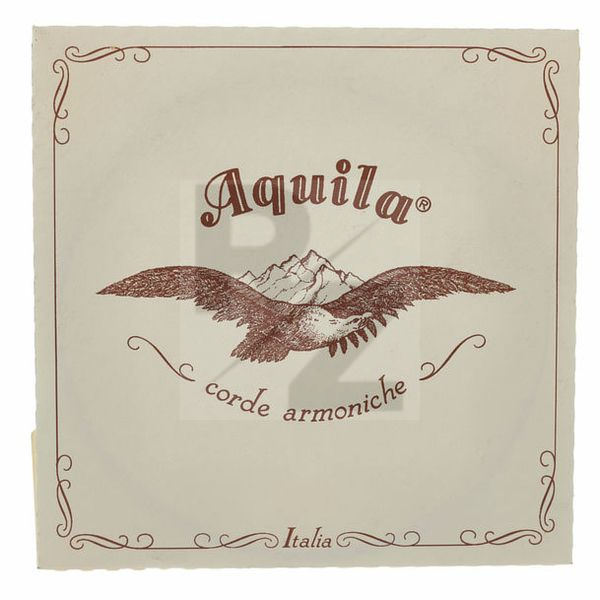Image Aquila 132D Wound Nylgut Lute String