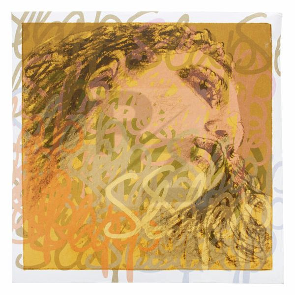 Image Pirastro Evah Pirazzi Slap G String Syn