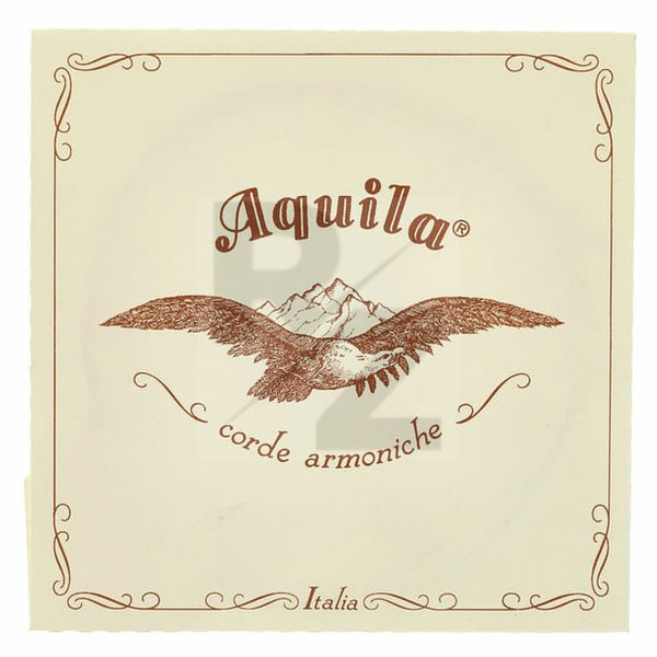 Image Aquila 108D Wound Nylgut Lute String