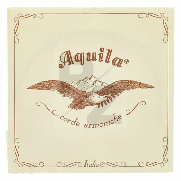 Image Aquila 165D Wound Nylgut Lute String