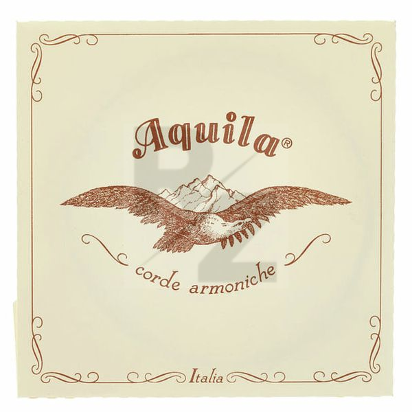 Image Aquila 185D Wound Nylgut Lute String