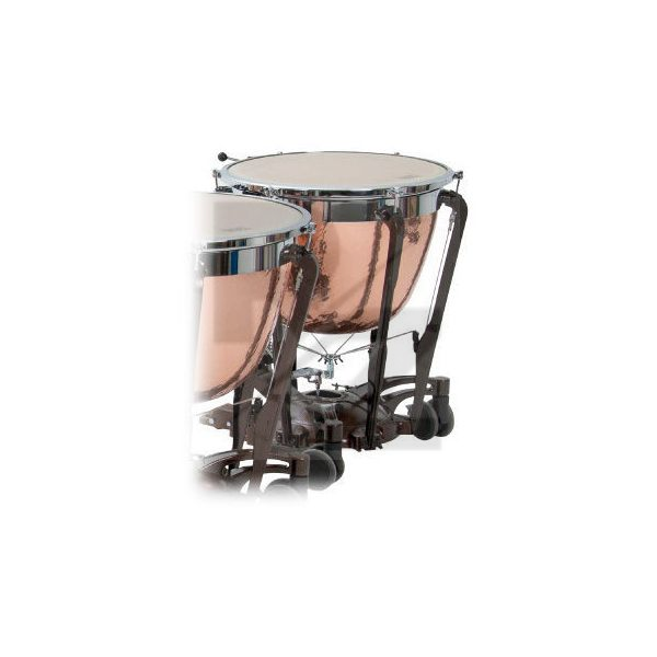 Image Adams 2PASYIIDH26L American