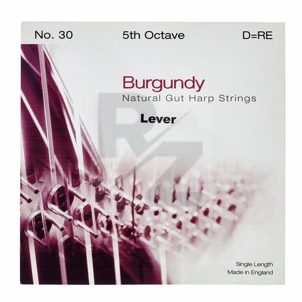 Image Bow Brand Burgundy 5th D Gut Str. No.30