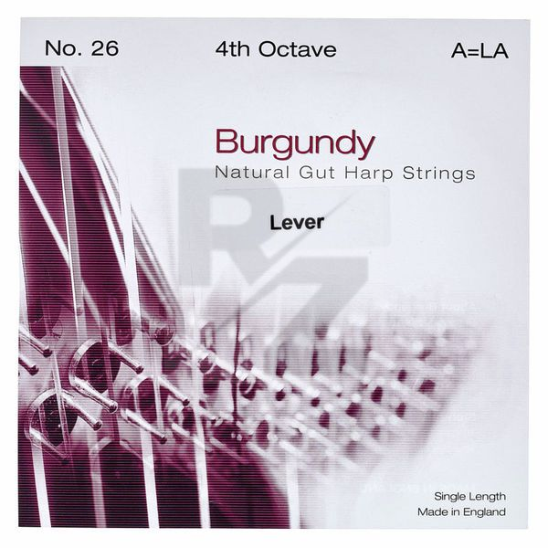 Image Bow Brand Burgundy 4th A Gut Str. No.26