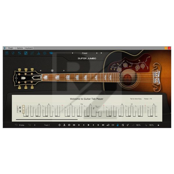 Image Ample Sound Ample Guitar SJ