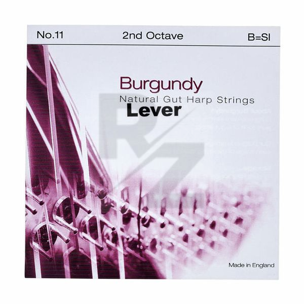 Image Bow Brand Burgundy 2nd B Gut Str. No.11