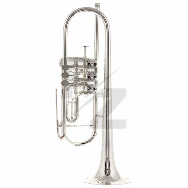 Image Peter Oberrauch Venezia Trumpet Bb 11,05 SP