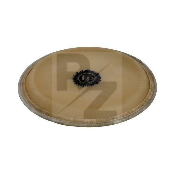 Image LP 267C Conga Head City EZ 12