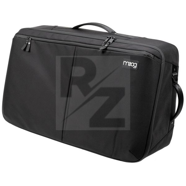 Image Moog Subsequent 37 SR Series Case