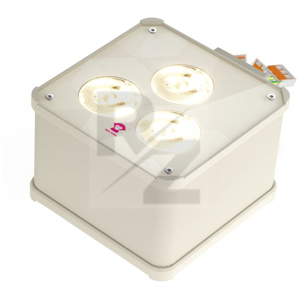 Image Ape Labs Double Wall Maxi V2 15° Creme