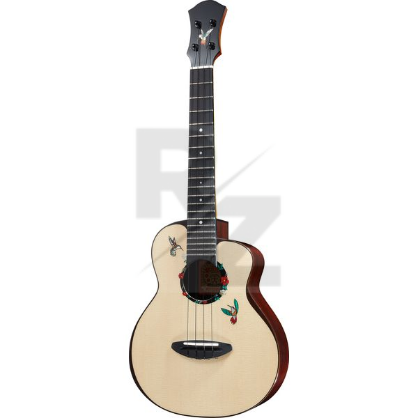 Image aNueNue Humming Bird Concert