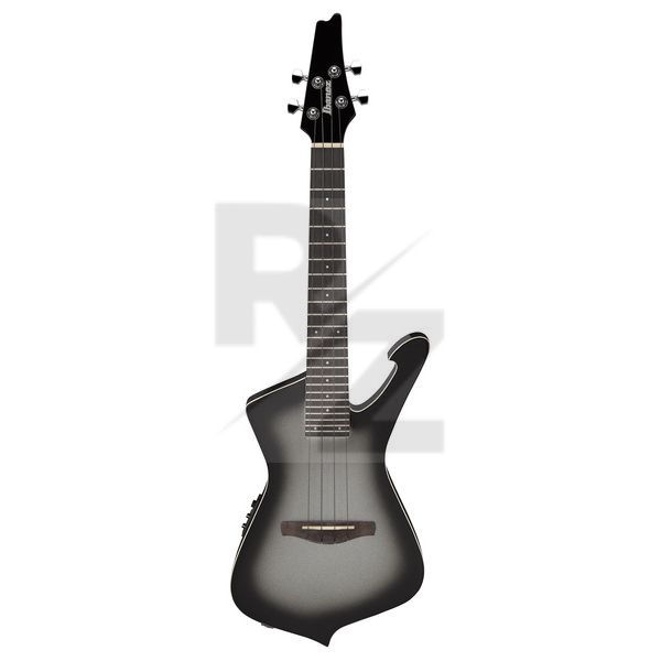 Image Ibanez UICT100-MGS