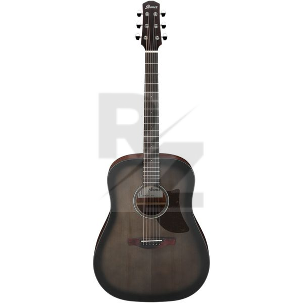 Image Ibanez AAD50-TCB