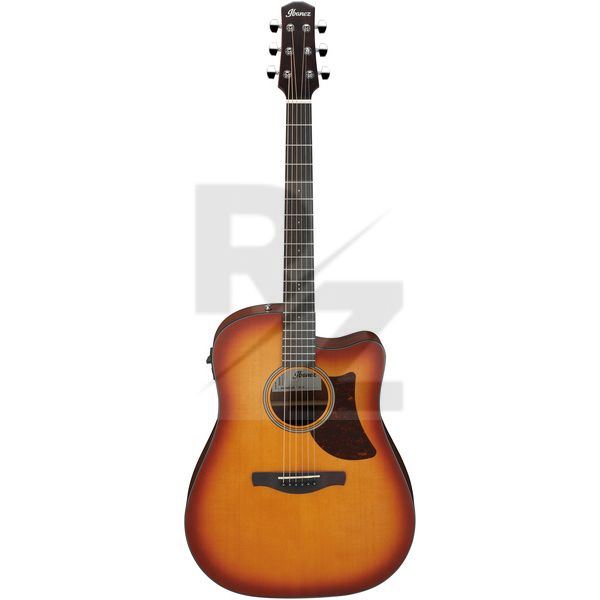 Image Ibanez AAD50CE-LBS