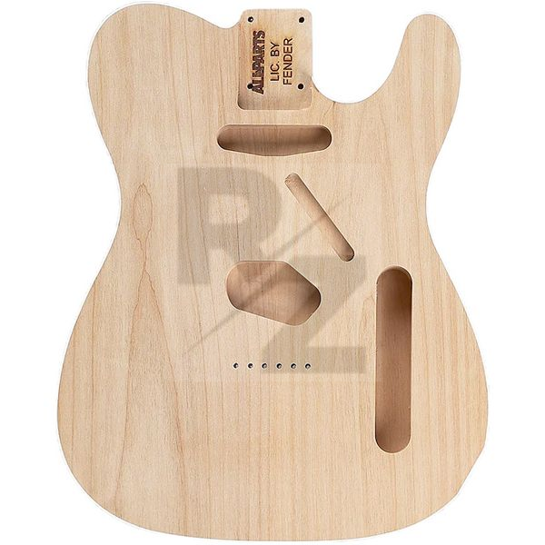 Image Allparts T Alder SS Body Binding UF